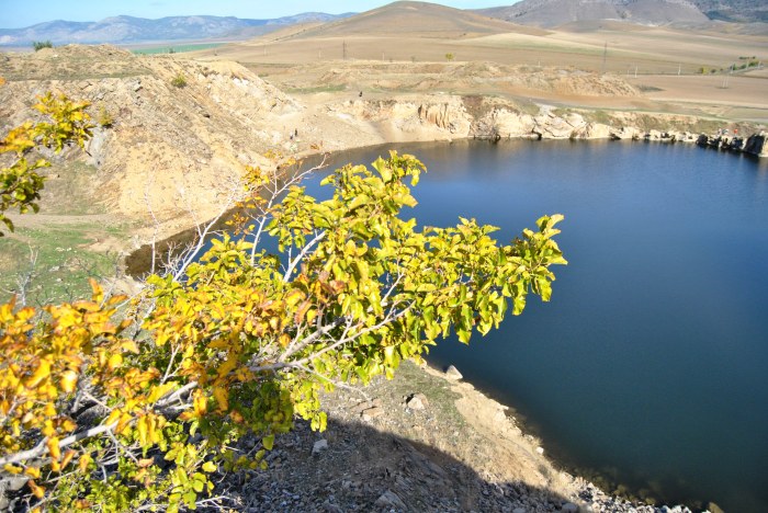 iacobdeal lac, turcoaia